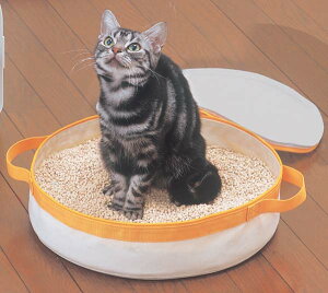 łLgC OCT-390 ACXI[} ybgpi ybg ybggC L ˂ lR