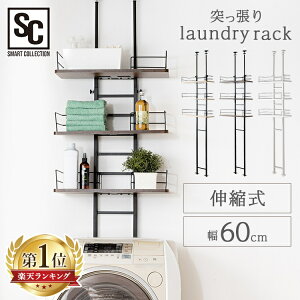 |Cg10{1419`1910_Mi^yyVLO1ʎ܁Izh[bN ˂ X ς RpNg  3i RDLK|2660 bN  @ [ 