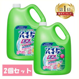 【2個セット】 ワイドハイター 業務用 ワイドハイターEX パワー4.5L 衣料用漂白剤 2本入 ハイター EXパワー 業務用 Kao 花王 酵素系 洗濯用品 詰め替え 液体タイプ 清掃用品 洗濯用品 [JS]
