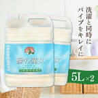 【2本】 緑の魔女 5L ランドリー 洗濯洗剤 業務用 5KG 送料無料 洗剤 業務用 洗濯 パイプクリーナー 排水管掃除 洗剤業務用 洗剤パイプクリーナー 業務用洗剤 パイプクリーナー洗剤 業務用緑の魔女 ミマスクリーンケア [NB]