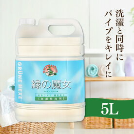 緑の魔女 ランドリー 業務用 5L 洗剤 5L ミマスクリーンケア 5000mL 液体洗剤 衣類用 大容量 ドイツ 洗濯洗剤 洗濯機 作業服 洗濯機 パイプクリーナー 排水管掃除 バイオ・ハイテク洗剤 大掃除