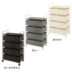 h[bN RAN-2436DBRh[ [ LX^[ o `FXg ^   Ԏ[ Tj^[ _[NuE O[ zCgyTDz ysz