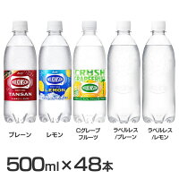 【48本セット】炭酸水 500ml・490ml 送料無料 48本 強炭酸 強炭酸水 炭酸飲料 ウィルキンソン 500ml 48本入り　送料無料 アサヒ飲料 ペットボトル ドリンク　スパークリング ハイボール タンサン 割材【D】【代引き不可】