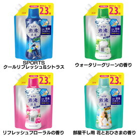 レノア 超消臭 煮沸レベル消臭 抗菌ビーズ 詰め替え 特大 970ml 消臭 煮沸レベル 生乾き臭 体臭 P&G SPORTSクールリフレッシュ&シトラス ウォータリーグリーン リフレッシュフローラル 部屋干し用花とおひさま【D】