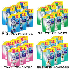 【6個セット】 レノア 超消臭 煮沸レベル消臭 抗菌ビーズ 詰め替え 特大 970ml 送料無料 消臭 煮沸レベル P&G SPORTSクールリフレッシュ&シトラス ウォータリーグリーン リフレッシュフローラル 部屋干し用花とおひさま【D】