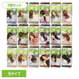 【3個】ヘアカラー 髪染め 白髪染め リーゼ 泡カラー ヘアカラー 髪染め 白髪染め 黒髪染め ブリーチ 泡 セルフカラー 黒 ナチュラルブラック Liese リーゼプリティア 花王 ブラック ブラウン