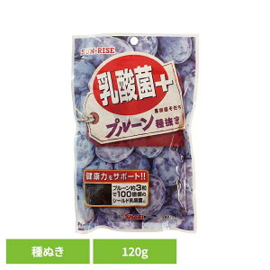 TCY@ʎ@_ہ{v[ʂ120g hHi Shoei hCt[c  _ v[ ʂ \tg  