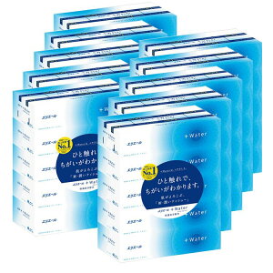 [10Zbg] GG[ eBbV vXEH[^[(+Water) 180g×50i5×10pbNj pv100% [P[X̔] 剤 eBbVy[p[ 邨 ɂ₳ Ƃ Ȃ߂炩 ԕ