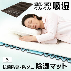 除湿マット 除湿シート シングル すのこマット 除湿シート 除湿 すのこ型吸湿マット クローゼット 押し入れ 吸湿 エアージョブマックス JABFST660 湿気対策 抗菌防臭 インエグジット フィルハーモニィ