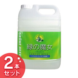 【店内ほぼ全品ポイント3倍！25日まで】【2本セット】 緑の魔女 キッチン 業務用 5KG 洗剤 緑の魔女 業務用 食器用 パイプクリーナー 排水管掃除 洗剤業務用 洗剤パイプクリーナー 業務用洗剤 パイプクリーナー洗剤 ミマスクリーンケア 【D】 【2312_6con】