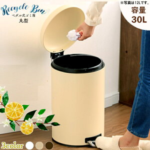 ݔ y_S~ ی^ 30L AFB-C30ݔ y[ y_  30L ӂt KX_p[  X^CbV _[NuE sAzCg AC{[