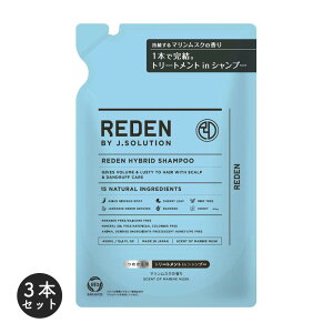 �y4�`10������IP10�{�I�zREDEN HYBRID SHAMPOO R2 �l�ߑւ� 3�{�Z�b�g ���f�� �n�C�u���b�h�V�����v�[ R2 400ml �����Y �j�� �j���p �V�����v�[ �X�J���v ��p �t�P ���� ����P�A ������ �L�� �I�C���[