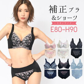 大きいサイズ レディース ブラジャー ショーツセット 上下セット ブラセット 補正下着 E80 E85 E90 F80 F85 F90 G80 G85 G90 H80 H85 H90 L LL 3L 再入荷 ネコポス不可