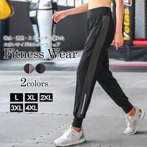 傫TCY fB[X jOpc X|[cEFA tBbglX Wp t  H ~ L LL 3L 4L 5L p[v O[ ē [։