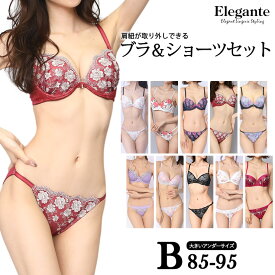 大きいサイズ 下着 レディース ブラジャー ショーツセット 上下セット ブラセット Bカップ B85 B90 B95 LL 3L 4L 肩紐取り外し可 モールドカップ 新色入荷 ネコポス不可