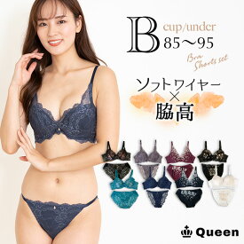 大きいサイズ ブラジャー ショーツセット レディース 下着 B85 B90 B95 脇高 ソフトワイヤー モールドカップ 大きめアンダー