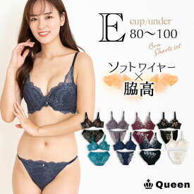 大きいサイズ ブラジャー ショーツセット レディース 下着 E80 E85 E90 E95 E100 脇高 ソフトワイヤー モールドカップ 大きめアンダー