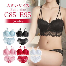 大きいサイズ レディース ブラジャー ショーツセット 上下セット ブラセット レース 無地 C85 C90 C95 D85 D90 D95 E85 E90 E95 LL 3L 新入荷 ネコポス不可