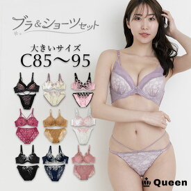 大きいサイズ ブラジャー ショーツセット レディース 下着 C85 C90 C95 モールドカップ 大きめアンダー ランジェリー