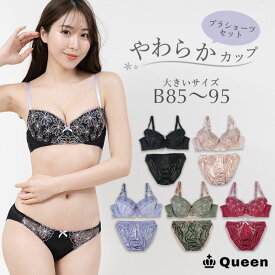 大きいサイズ ブラジャー ショーツセット 上下セット ブラセット レディース 下着 B85 B90 B95 やわらか 刺繍レース ぽっちゃり ソフト