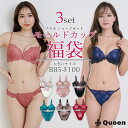 大きいサイズ ブラショーツ 福袋 ブラジャー ショーツセット B85 B90 B95 C85 C90 C95 D85 D90 D95 E80 E85 E90 E95 E100 F80 F85 F90 F95 F100