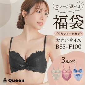 大きいサイズ ブラショーツセット 福袋 3点セット レディース 下着 選べるカラー お得 盛れる 美胸 脇高 人気 ブラック ホワイト ピンク おまかせ B85 B90 B95 C85 C90 C95 D85 D90 D95 D100 E80 E85 E90 E95 E100 F80 F85 F90 F95 F100 福袋2026