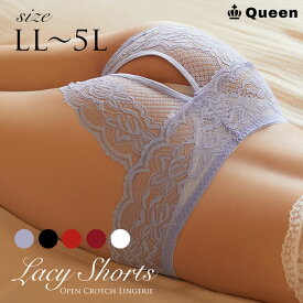 大きいサイズ レディース 股割れショーツ レース パンティ セクシー ランジェリー 下着 LL 3L 4L 5L ブラック ホワイト レッド 全5色