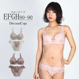 大きいサイズ ブラショーツセット レース シアーデコルテ E80 E85 F80 F85 G80 G85 G90 H80 H85 H90 ピンク アイボリー 2020年 新入荷 ネコポス不可