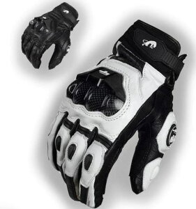 y{ő20%OffN[|P5{zoCNO[u v I[goC gN [VO ~ ی K[h veNg ubN/zCg@|Cg 