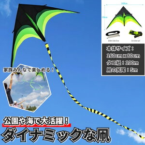 yő20%N[|P5{`27z g 6me[ 160cm  LbY JCg X|[c AEghA OW[ V 