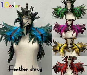 y{ő5%OffN[|P3{zfB[X tFU[ VO V[ { H RXv p[eB[ ߑ