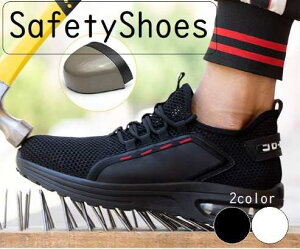 y{ő5%OffN[|P3{zY SC Z[teBV[Y Xj[J[ ܐX`[ ܐی ˂hh~ bV ʋC z