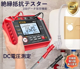 【本日最大5%Offクーポン＆P3倍】デジタル 絶縁抵抗計 接地抵抗計 電気抵抗計測 絶縁体計測 電圧テスター 電流計 防水 Ω デジタルテスター オーム AC AD メンテナンス用品 抵抗 測定 テストリード 機器修理 メガー デジタル式 メガオーム計 測定器 電気工事 送料無料
