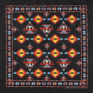 HAV-A-HANK/nonN ubN CfBA o_i Vi 218-