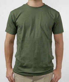 US．SOFFE．OD．Tシャツ(新品）T41N-