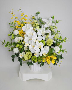 A[eBtBVt[uԁvG}R[eBOy䋟ԃAWijzS3F