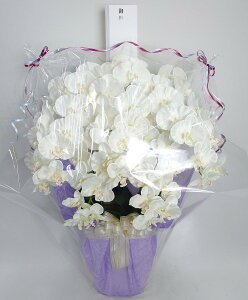 A[eBtBVt[uԁv̌G}R[eBOyӒAE5{iW/YjvX`bNɌ䋟p̐FbsOtzi[܂ŉԂtĂ܂j