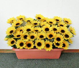 代引手数料無料【向日葵プランター】アーティフィシャルフラワー「造花」光触媒コーティング