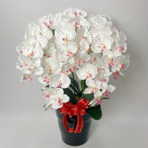 A[eBtBVt[uԁvG}R[eBOyӒAE5{^픫verzS3F