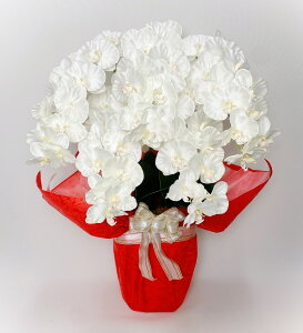 A[eBtBVt[uԁvyӒAE5{iW/YjvɐFbsOzG}R[eBO