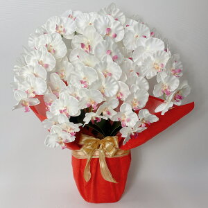 A[eBtBVt[uԁvyӒAE5{iW/RjvɃbsOzG}R[eBO