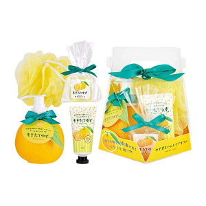 䂸 nhPAMtgi nh\[v / nhN[ / QXg\[v / oXX|W jMtg v[g a 