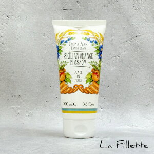 nhN[ E}J V`AIWubT Rudy fB 100ml Mtg v[g   ێ nhPA a  