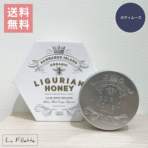 {fBN[ MAINE BEACH }Cr[` {fB[X {fBPA ێ OAnj[ v[g     Mtg 