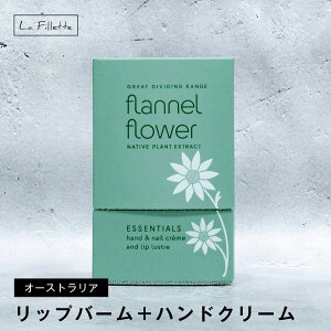 MAINE BEACH }Cr[` bvo[ nhN[ ~jTCY Zbg tlt[ GbZVfIpbN v[g   Mtg