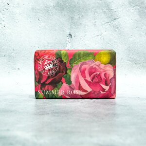 CObV \[v Jpj[ OWA[VA\[v T}[[Y 240g Ō`Ό ΂ Mtg v[g a    