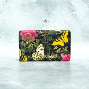 CObV \[v Jpj[ OWA[VA\[v IX}TX[Y 240g Ō`Ό ΂ Mtg v[g a    