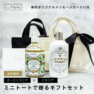 MAINE BEACH }Cr[`  RUDY fB MtgZbg i obOt j A-OOy {fBN[ / C^AI[uIC z OAnj[ {fBPA v[g Mtg  