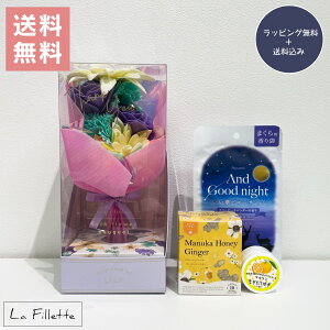 y ʌ / bZ[WJ[h /  / bsO zoXt[u[P [ + n[ueB[ + 䂸Z + s[TVF fCYCu[   ԑ Mtg 