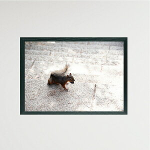 A[g|X^[ ʐ^ X ~xx ǂ񂮂  A4 zȂ tBGbg IWi